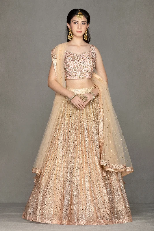 Pink Ombre Shimmer Lehenga Elegant evening unclassified skirts